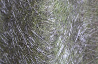 White Hills fibreglass roof work